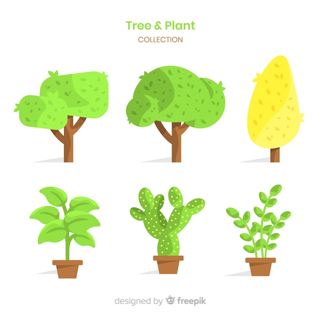 Tree and plant collection