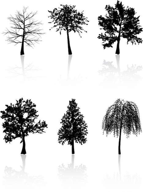 Tree silhouettes