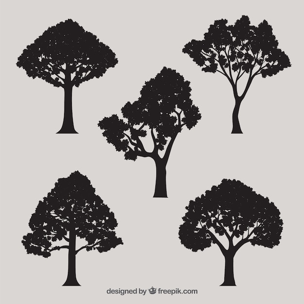 Tree silhouettes