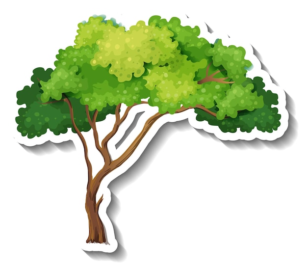 Tree sticker on white background