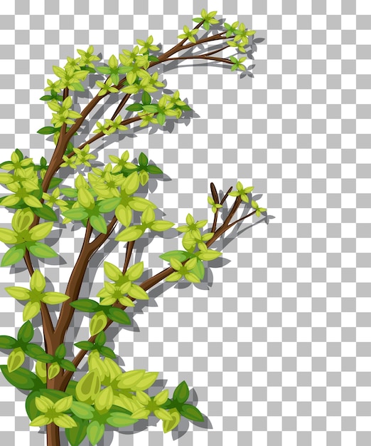 Tree on transparent background