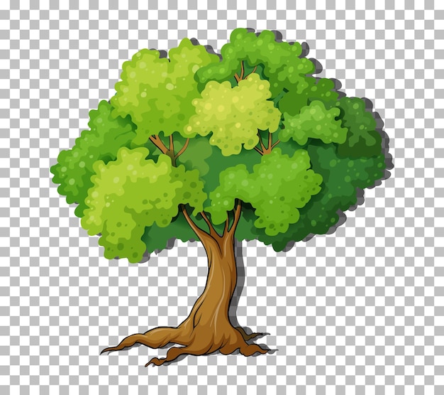 Free vector tree on transparent background