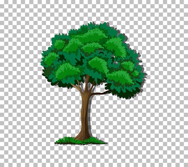 Tree on transparent background