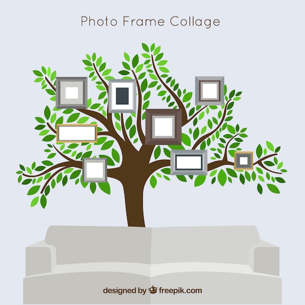 Tree with frames on the wall