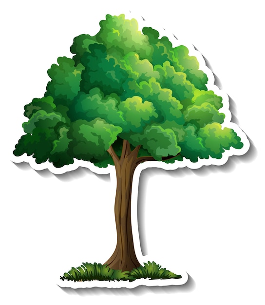 A tree with green leaves sticker on white background