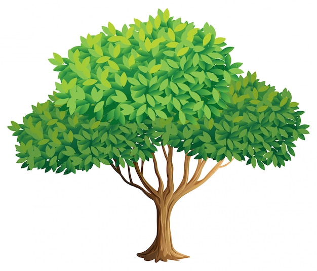 Free vector tree