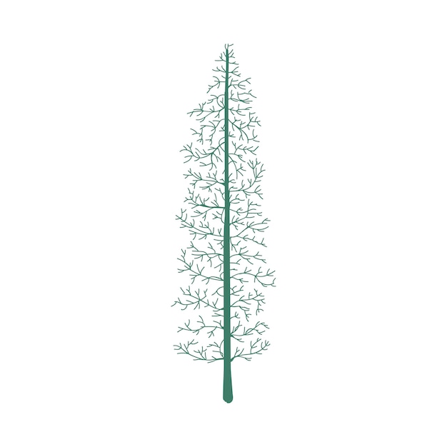 Free Vector tree