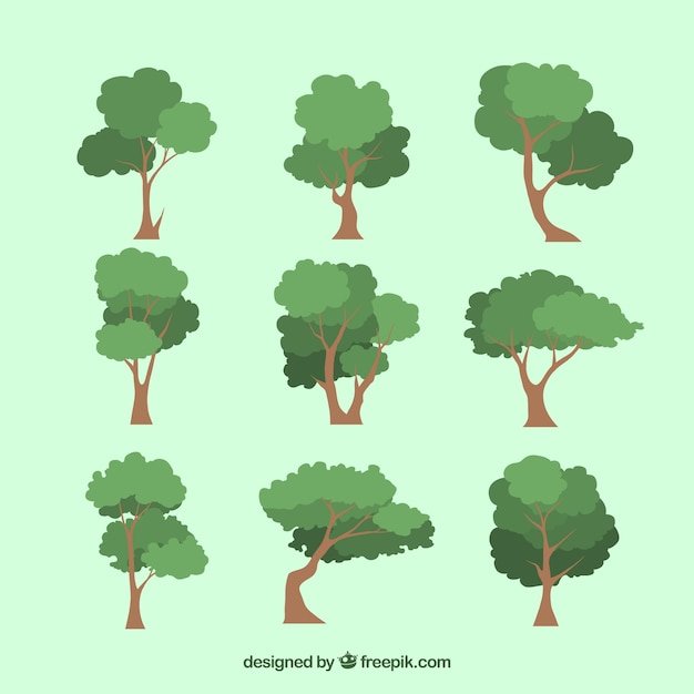 Trees collection in 2d style