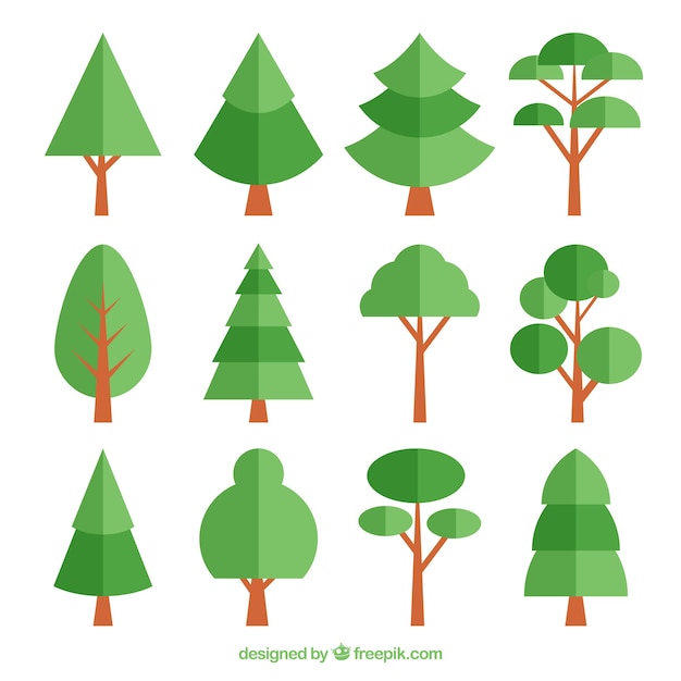 Trees collection in flat style 