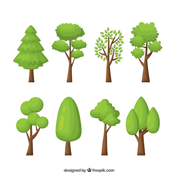 Trees collection in flat style