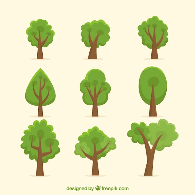 Trees collection in flat style