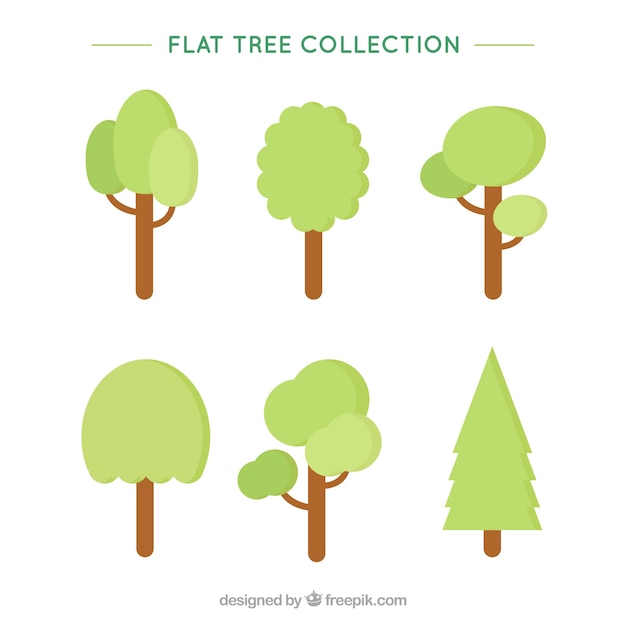 Free vector trees collection in flat style