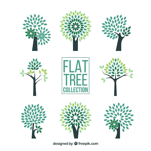 Trees collection in flat style 