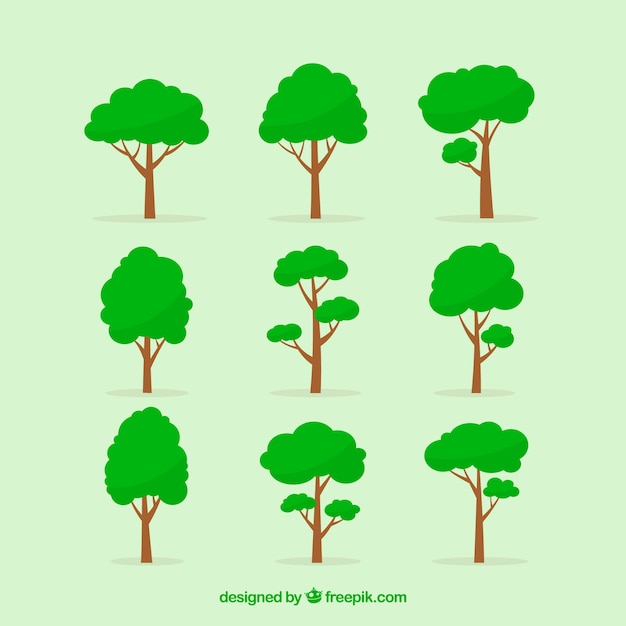 Trees collection in flat style