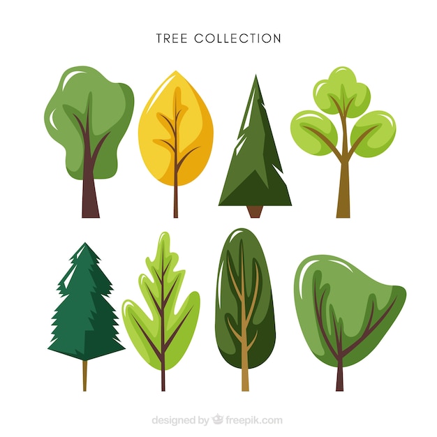 Trees collection in flat style