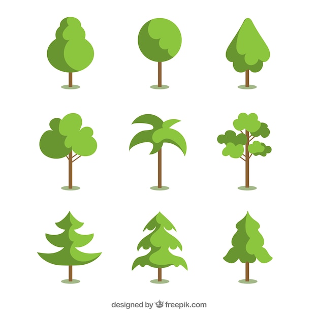 Free Vector trees collection in flat syle