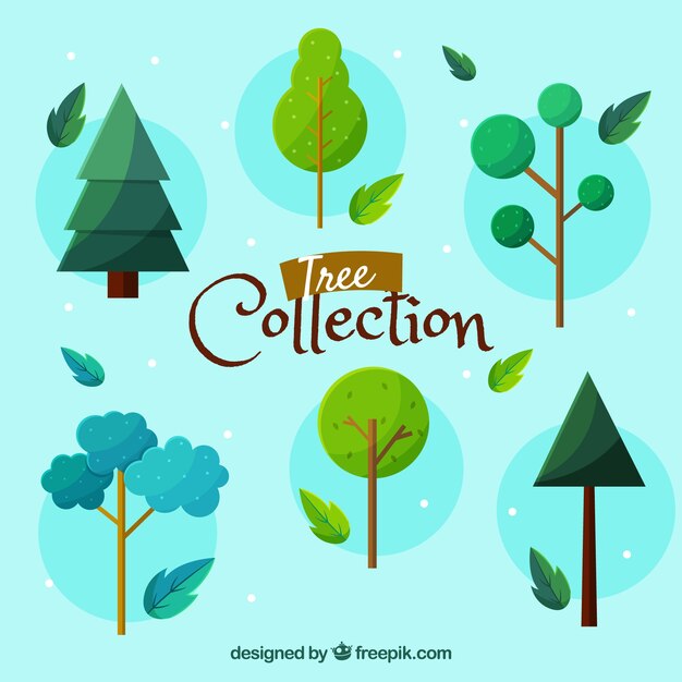 Trees collection in flat syle