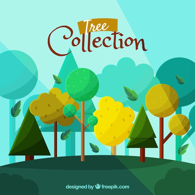 Trees collection in flat syle