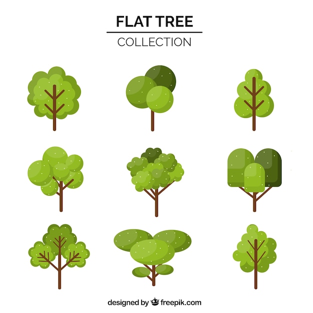 Free vector trees collection in flat syle