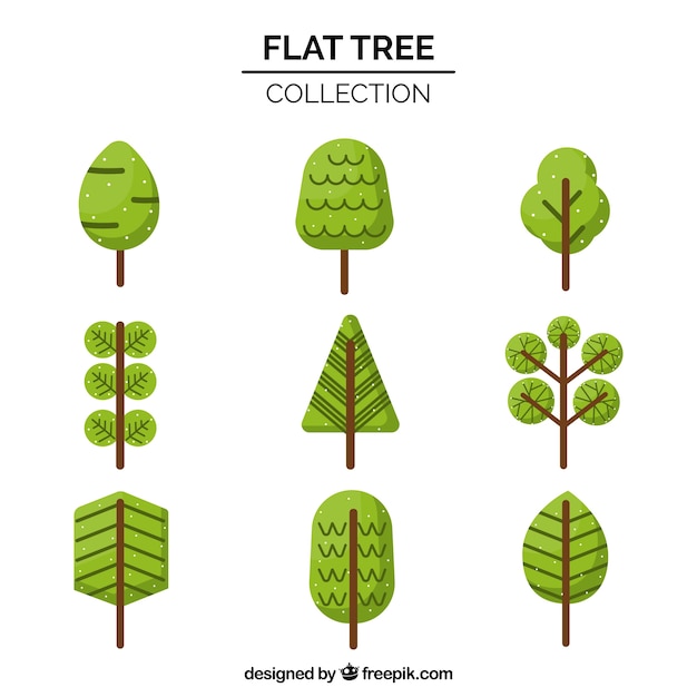 Free Vector trees collection in flat syle