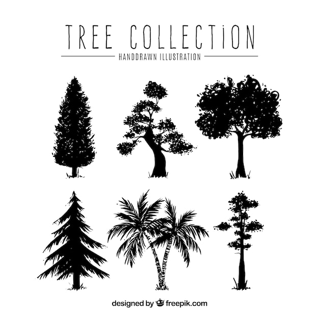 Trees collection in hand drawn style 