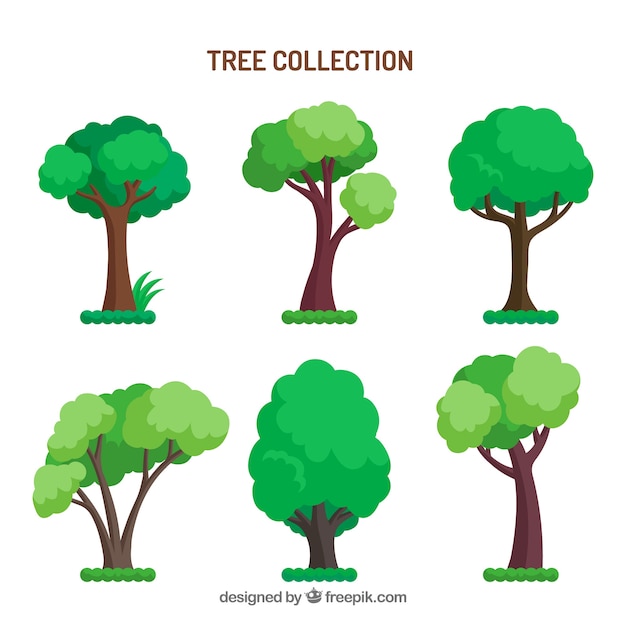 Trees collection in hand drawn style