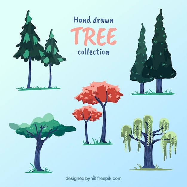 Trees collection in hand drawn style