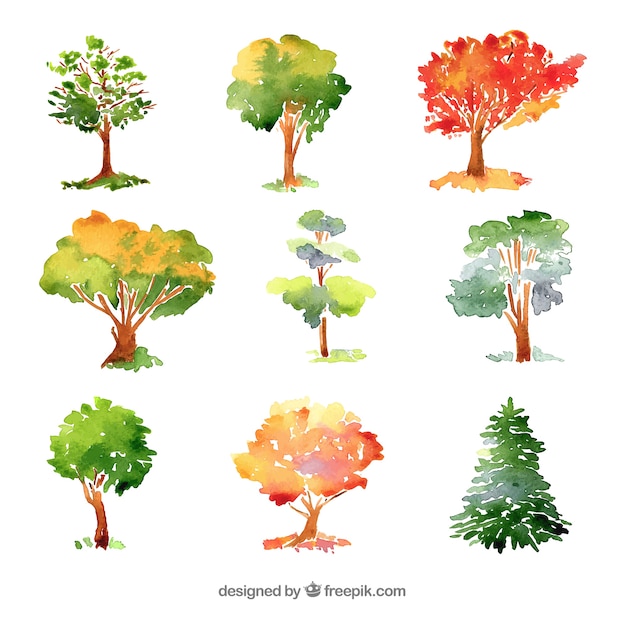 Free vector trees collection in watercolor style