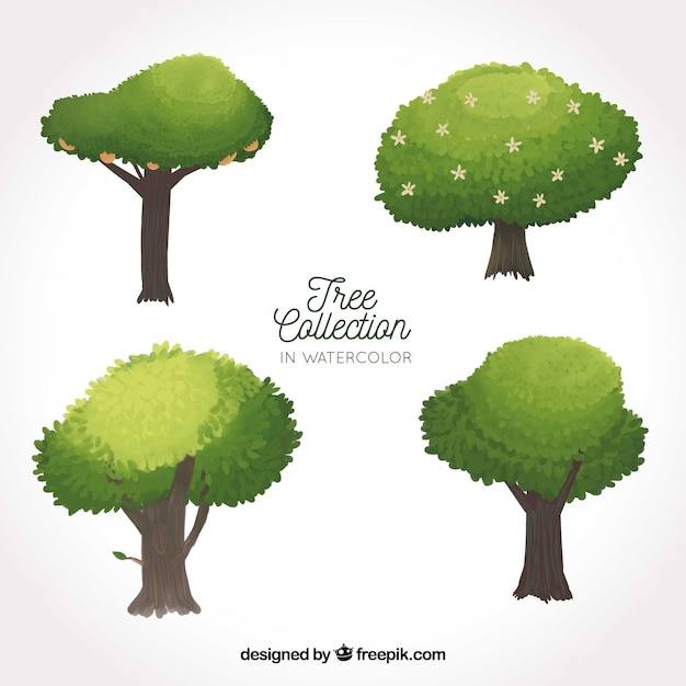 Trees collection in watercolor style