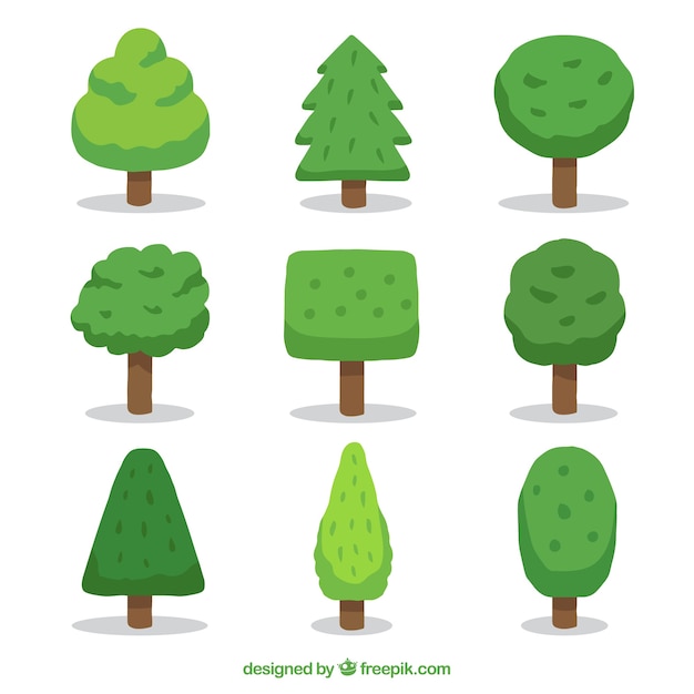 Free Vector trees collection with different species