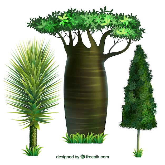 Free Vector trees collection with realistic style