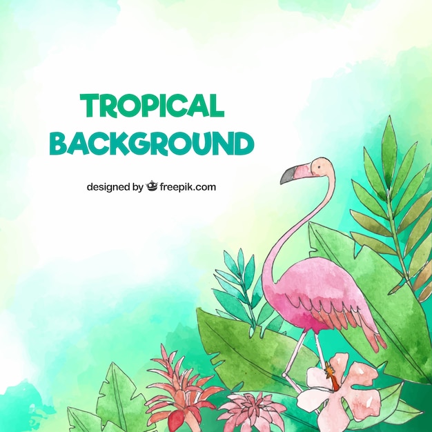 Tropical background with birds and leaves in watercolor style