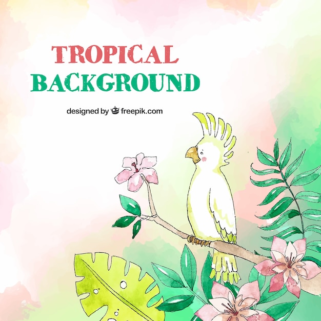 Tropical background with birds and leaves in watercolor style