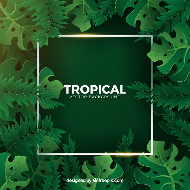 Tropical background with green plants