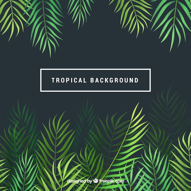 Tropical background with leaves