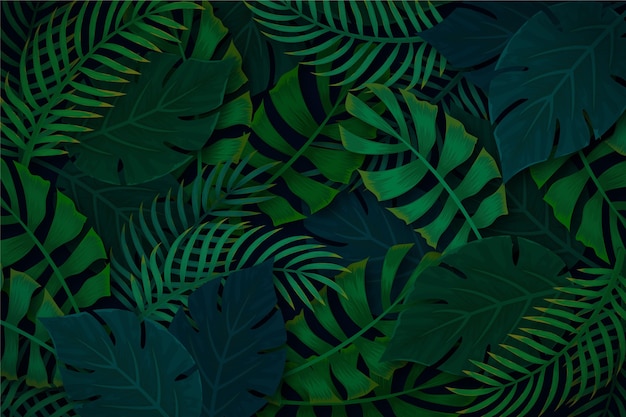 Tropical background with plant vegetation