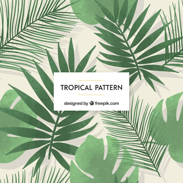 Tropical background with plants