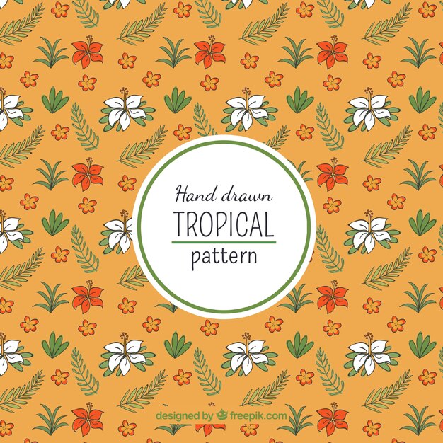 Tropical background with plants