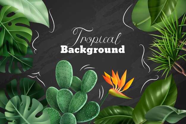 tropical background with realistic images of houseplants flowers and leaves on chalkboard