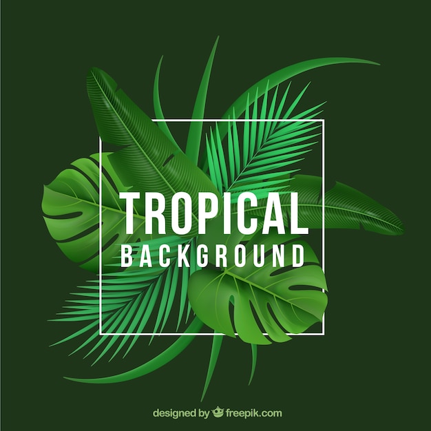 Tropical background with realistic plants