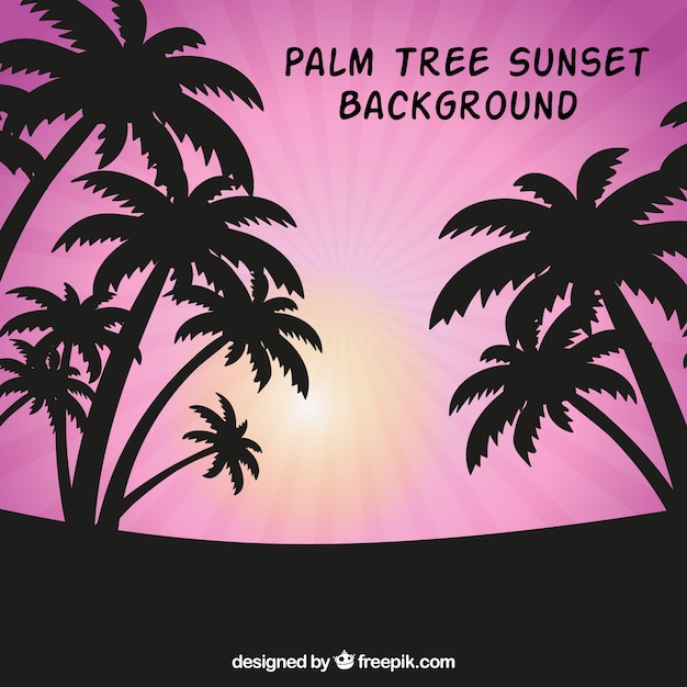 Free Vector tropical background with silhouettes of palm trees