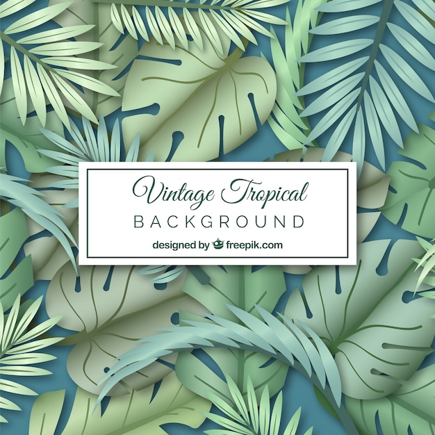 Free Vector tropical background with vintage design