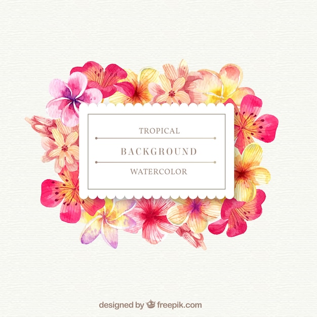 Free Vector tropical background with watercolor flowers