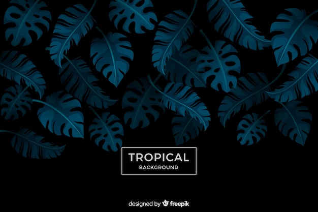 Free Vector tropical background