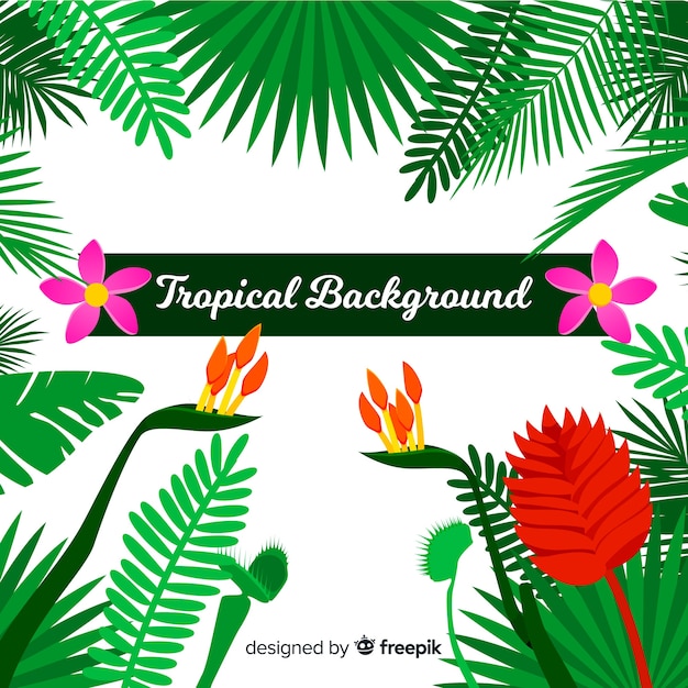 Tropical background