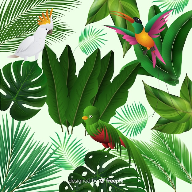 Tropical background