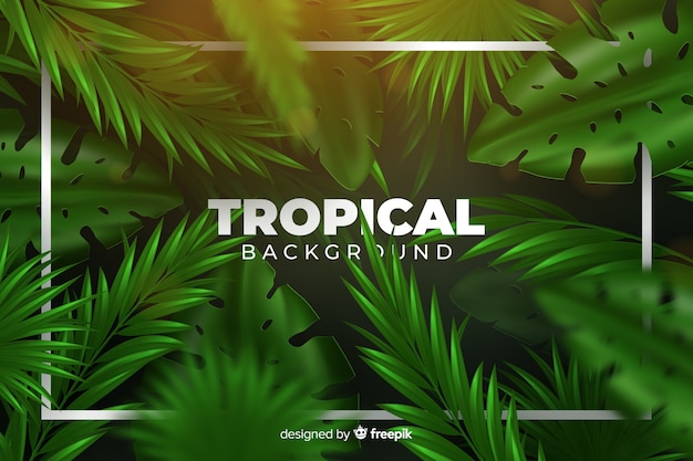 Free Vector tropical background