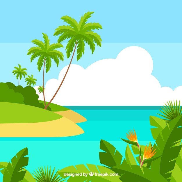 Tropical beach background with palms