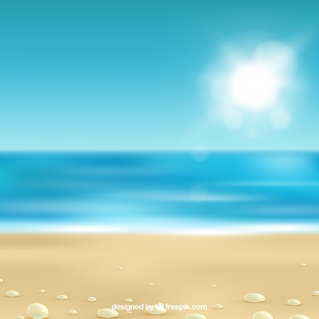 Free Vector tropical beach with realistic design