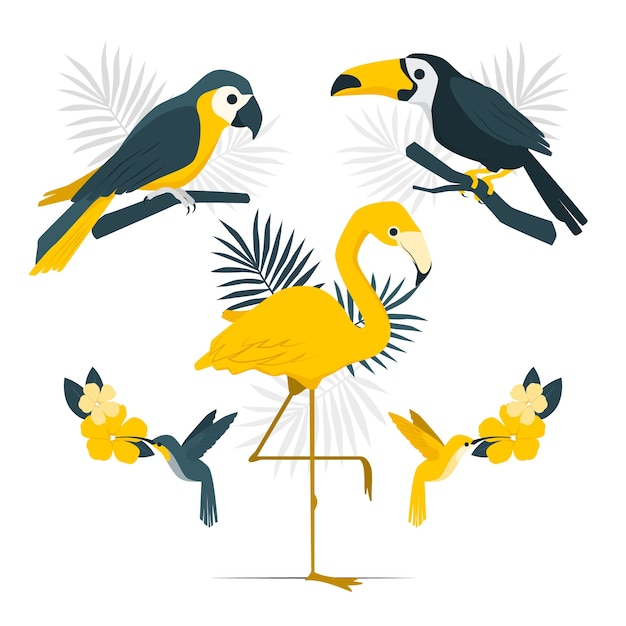 Tropical birds concept illustration